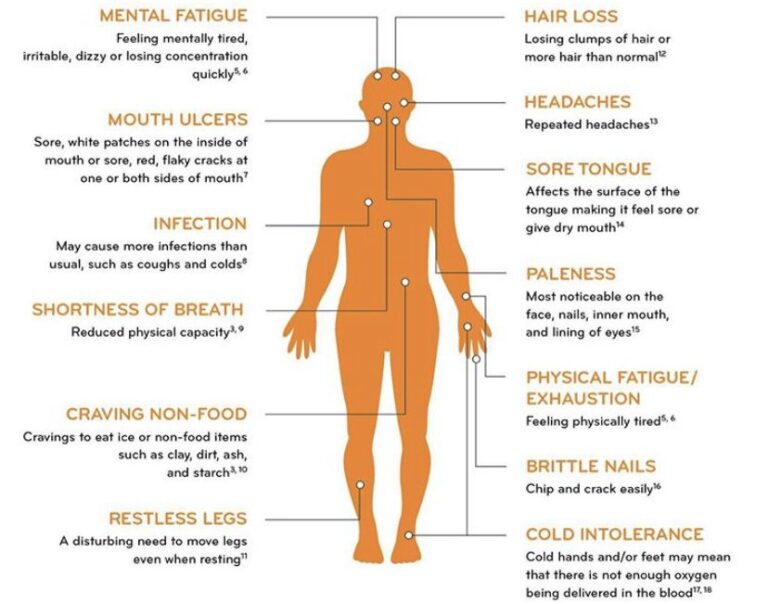 Illustration Explaining Various Health Conditions | Anemia