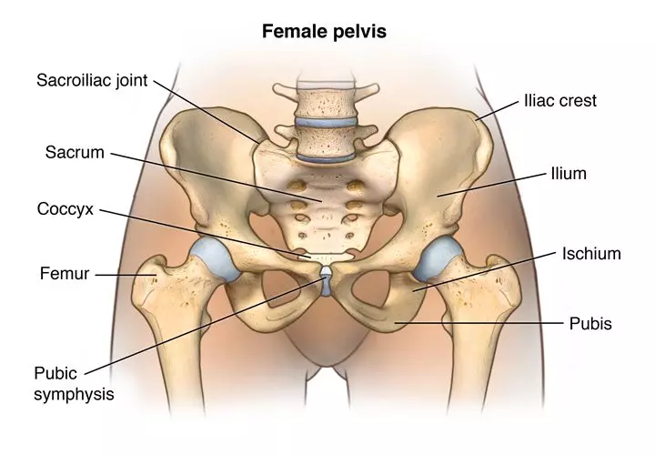 Pregnancy Related Pelvic Girdle Pain