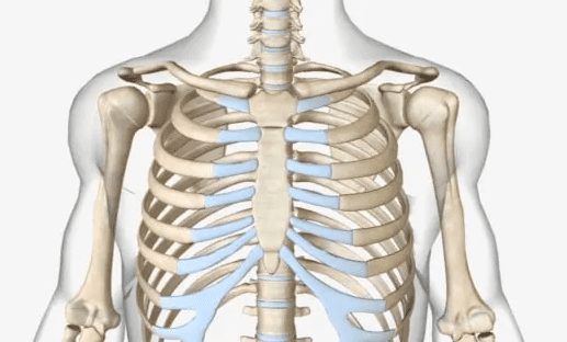 illustration of rib dysfunction