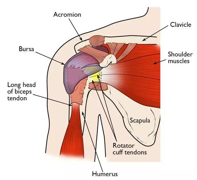 Shoulder Ligament/Tendon Strain | Orchard Health Clinic