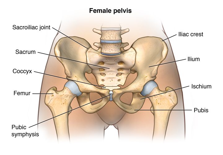 Pregnancy Related Pelvic Girdle Pain - Orchard Health Clinic - Osteopathy,  Physiotherapy and Chiropractic