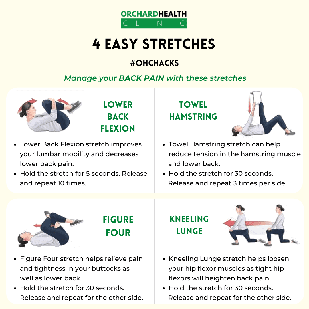 4 Easy Stretches For Back Pain - Orchard Health Clinic - Osteopathy,  Physiotherapy and Chiropractic